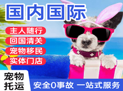 黄山航空快运国际宠物托运 【国